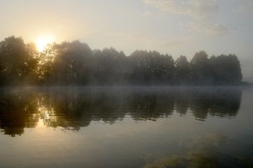 Fototapeta na wymiar Lake morning mist summer