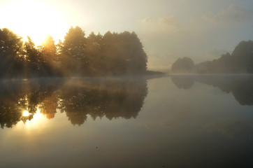 morning fogg lake view
