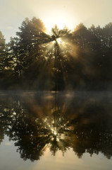 morning fogg lake view