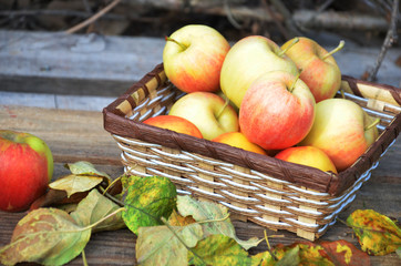 Organic apples in basket on a wooden table. Fresh apples in nature. Autumn Set. Autumn mood. Yellow and red leaves. background.