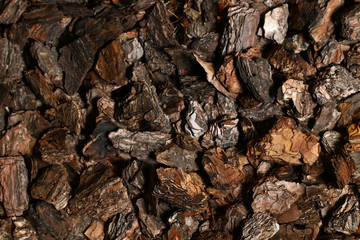 bark texture