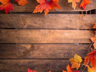 Bunte Herbstblätter