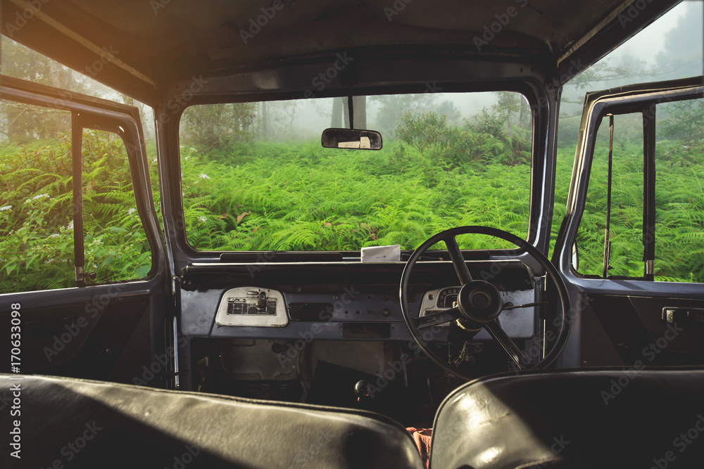 Poster view on the dashboard of the car. green forest is in front of the car.