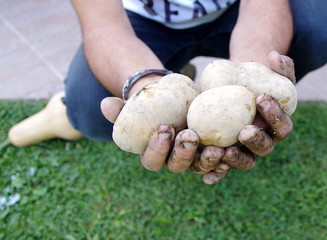 terre et légumes