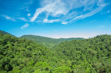 Beautiful landscape of the forest in Mindo, in gorgeous blue sky