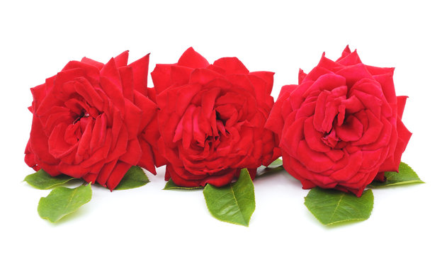 Three red roses.