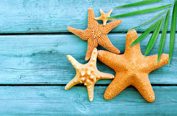 Summer sea background - starfish on blue wooden background