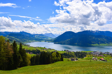 Fototapeta na wymiar Aussicht mit Sicht auf Ägerisee und Schwyzer Alpen