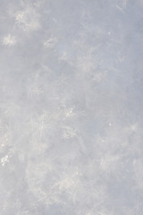 texture of fluffy snow
