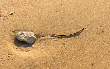 Two object. Sunset seaside. Stone and twig on beach sand