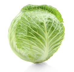 Fototapeta premium green cabbage isolated on white background.