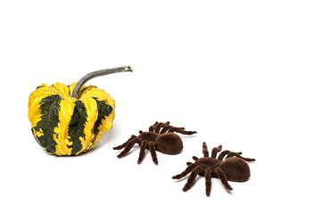 Halloween decoration background. Isolated