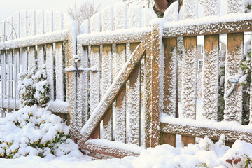 Back yard fence covered in newly fallen snow.