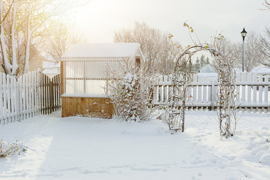 Greenhouse and arbor covered in snow in an urban back yard.