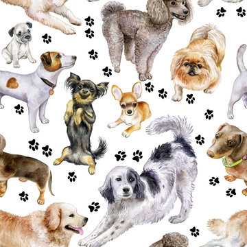 Seamless pattern with dogs. Dogs on a color background. Watercolor. Illustration.