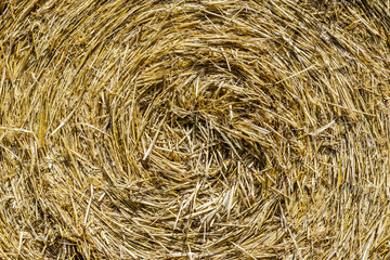 Yellow hay stack