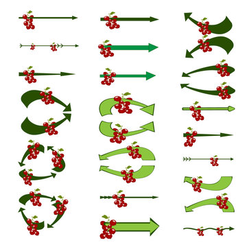 Arrows. Set of creative colored vector arrows with berries. Original arrow-shaped elements with a berries. Vector illustration.