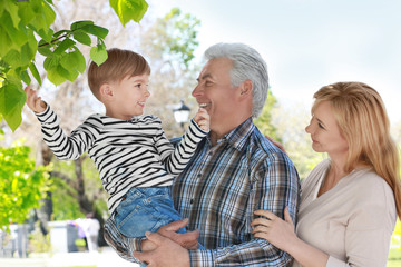 Cute happy boy with grandparents in spring park on sunny day