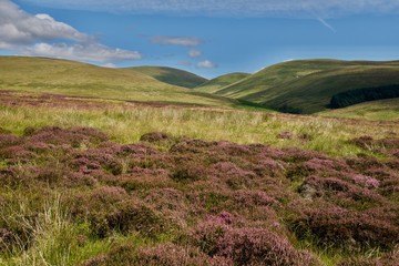 panorama of Scotland highland in england