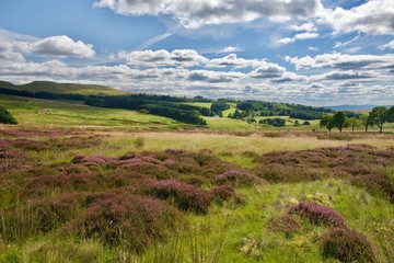Naklejka premium scenery of the gulf of Skye island in Scotland England with clouds and Atlantic ocean