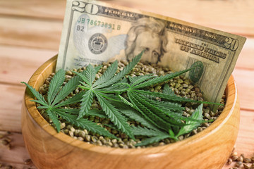 Bowl with hemp seeds and dollar on wooden background. Marijuana business concept