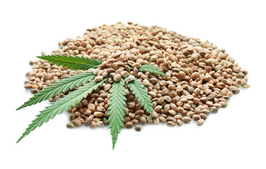 Obraz premium Heap of hemp seeds on white background