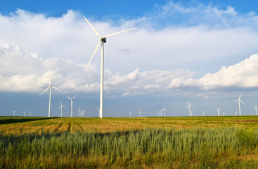 Wind turbines landscape.