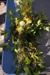 Bouquet of field flowers