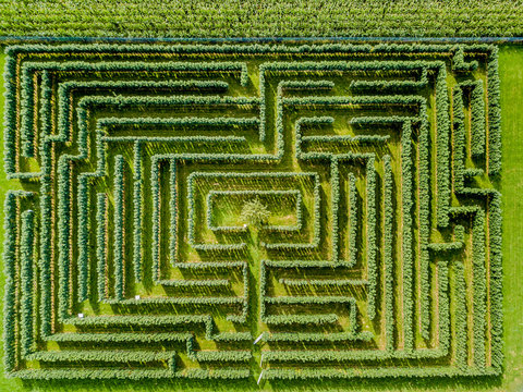 Aerial view of maze made of trees and bush