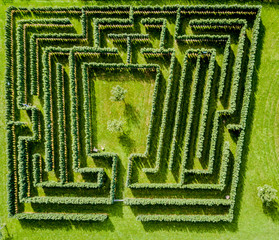 Aerial view of maze made of trees and bush