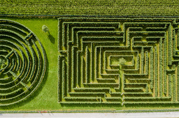 Aerial view of maze made of trees and bush