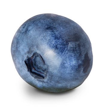 Ripe blueberry isolated on white background with clipping path