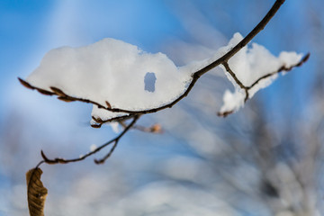 Hole in the Snow