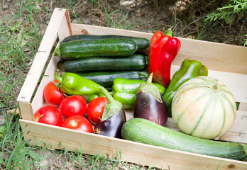 Cagette de légumes