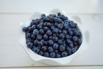 blueberries on a white background summer