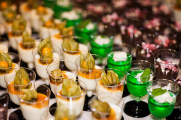 partyservice food fruits and shashlik
