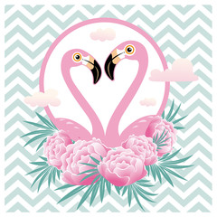 Vector illustration pink flamingo couple. Cool flamingo decorative flat design element.