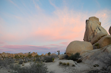 Sunrise at Joshua Tree National Park