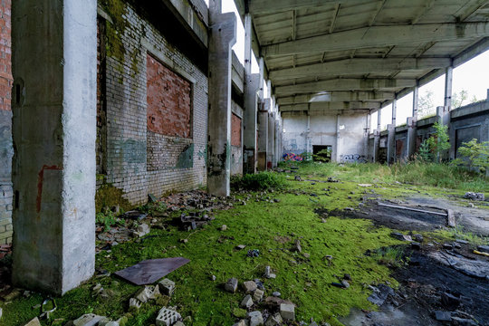 Abandoned factory covered in green moss