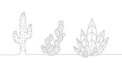 Desert Cacti Vector Illustrations