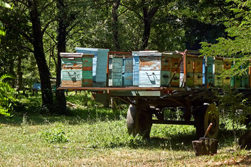 beehives in the trailer