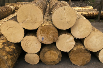 Holzhandel, Baumst&auml;mme, S&auml;gewerk, Schnittholz, Lagerung