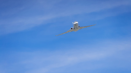 Falcon dans un ciel bleu avec des reflets