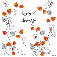 Physalis. Seven isolated vector floral elements for design on a white background.