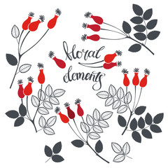 Rosehip berries.  Nine isolated vector floral elements for design on a white background.