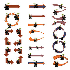 Arrows. Set of creative colored vector arrows with berries. Original arrow-shaped elements with a berries. Vector illustration.