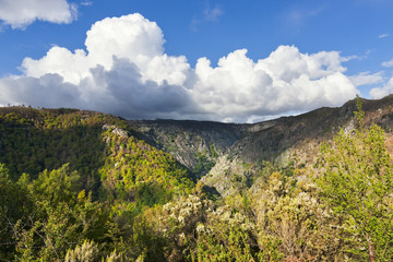Fototapeta na wymiar Fragas do Eume , Natural park of Galicia , Spain