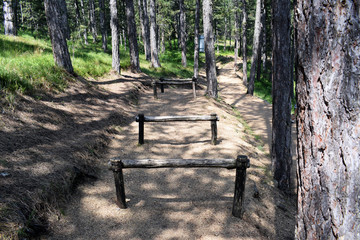 Obstacles for crossing and training in the forest