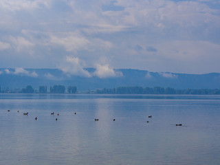 Landscape of Lake Constance, Radolfzell am Bodensee, Germany