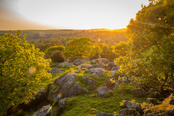 Vibrant Dartmoor